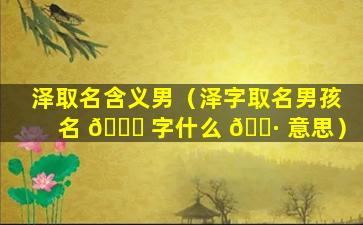 泽取名含义男（泽字取名男孩名 🐋 字什么 🕷 意思）